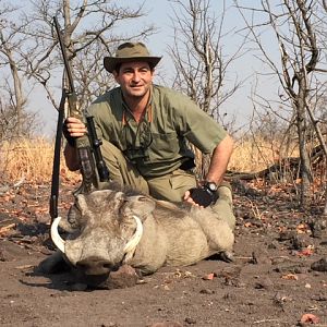 Warthog Hunt in Zimbabwe