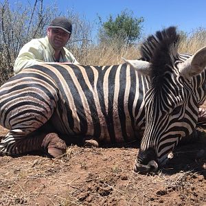 Hunt Burchell's Plain Zebra South Africa