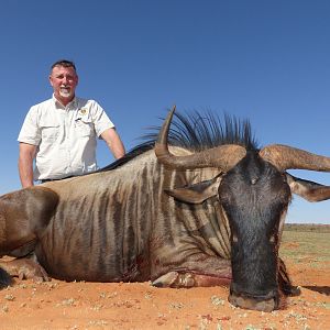 Hunting Blue Wildebeest South Africa