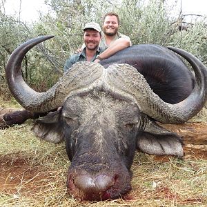 South Africa Hunt Cape Buffalo