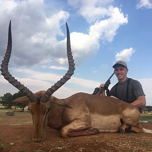 Impala Hunt in South Africa