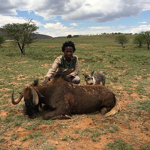 Hunt Black Wildebeest in South Africa