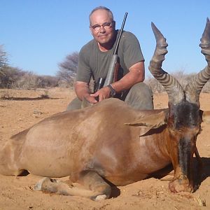 Red Hartebeest Hunt in Namibia