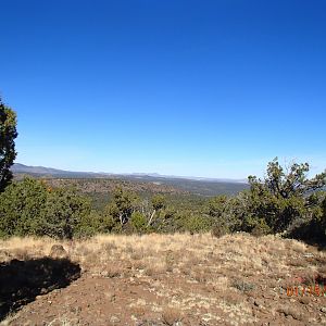 Hunting Mountain Lion Arizona