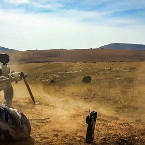 Black Wildebeest Hunting South Africa