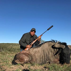 Hunt Blue Wildebeest South Africa