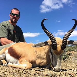 Springbok Hunt in South Africa