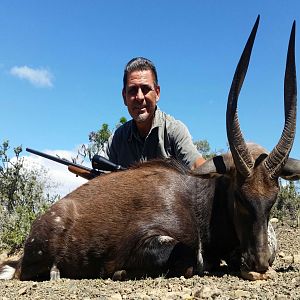 Bushbuck Hunting in South Africa