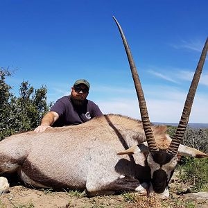 Hunt Gemsbok South Africa