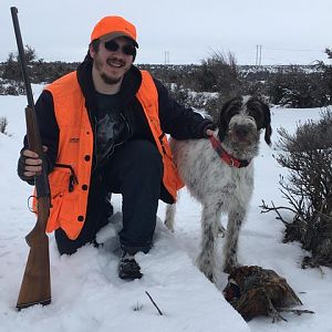 Upland Bird Hunting