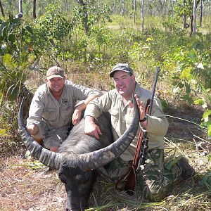 Hunting Asiatic Water Buffalo