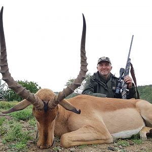 Hunt Impala in South Africa