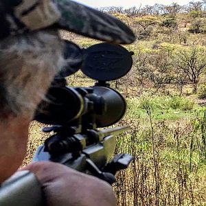 Crocodile Hunting in South Africa