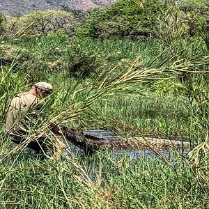 Crocodile Hunting in South Africa