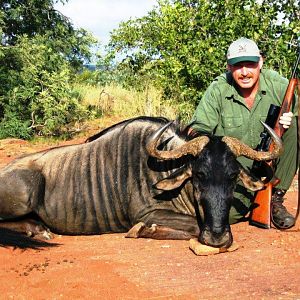 Blue Wildebeest Hunt