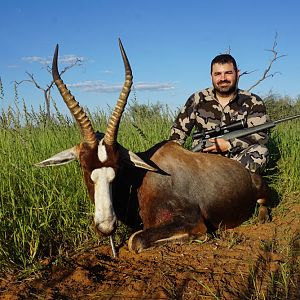 Namibia Hunt Blesbok