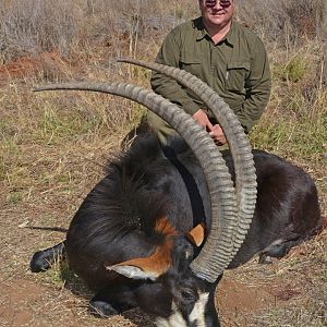 Namibia Hunting Sable Antelope