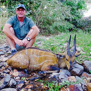 Harnessed Bushbuck Hunt in Benin