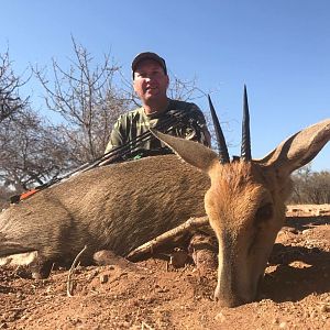 Bow Hunt Duiker in South Africa