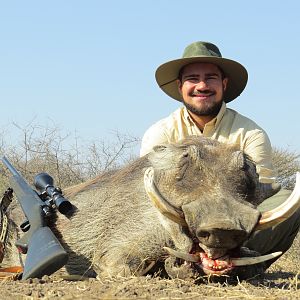 Hunting Warthog South Africa