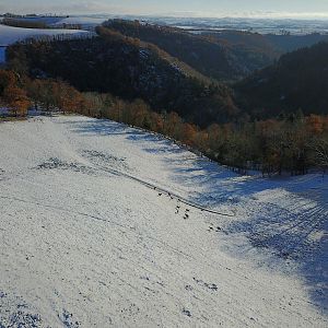 Hunting in France