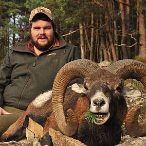 Hunt Mouflon France