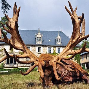 Hunting Red Deer France