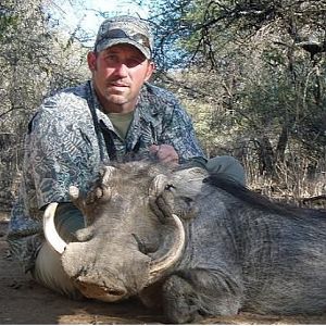 South Africa Hunt Warthog