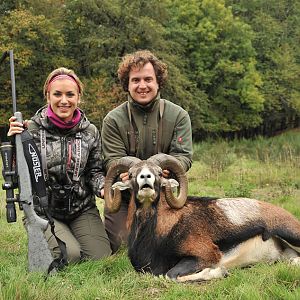 France Hunting Mouflon