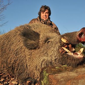 France Hunt Wild Boar