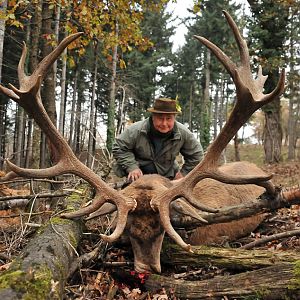 Red Stag Hunting France