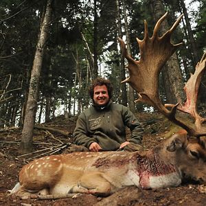 Fallow Deer Hunting France