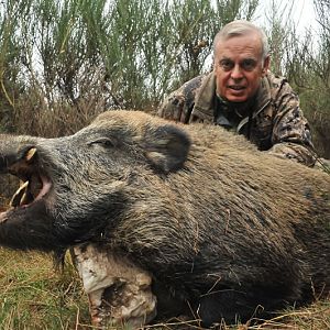 Hunting Wild Boar France | AfricaHunting.com