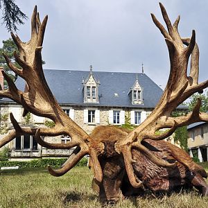 Hunt Red Stag France