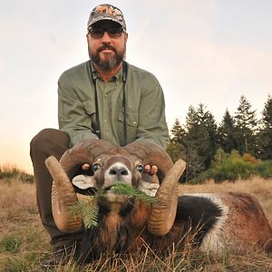 Hunt Mouflon France