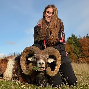 France Hunting Mouflon