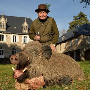 France Hunting Wild Boar