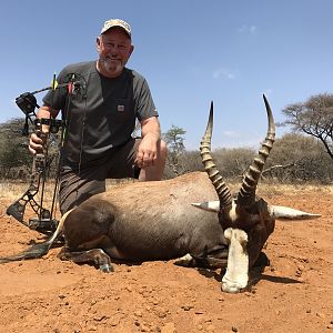South Africa Bow Hunting Blesbok