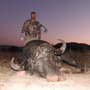 Cape Buffalo Bow Hunt South Africa