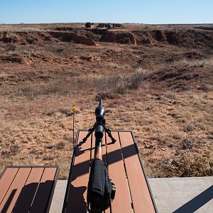 Hunting Texas