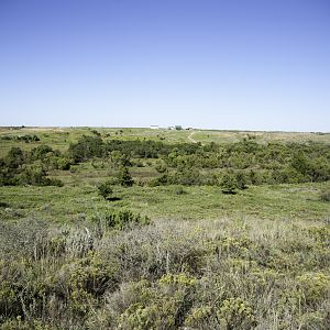 Hunting Area Texas