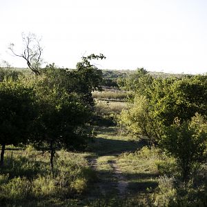 Hunting Area Texas