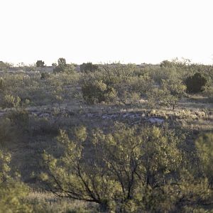 Texas Hunting Area