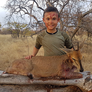 Hunt Duiker in South Africa