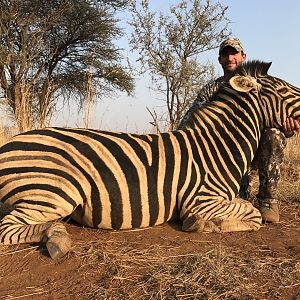 South Africa Hunting Burchell's Plain Zebra