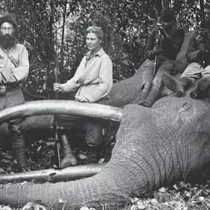 Elephant Hunting | AfricaHunting.com