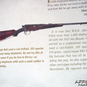 Karamojo Bell used a .303 Lee Enfield to shoot Elephants