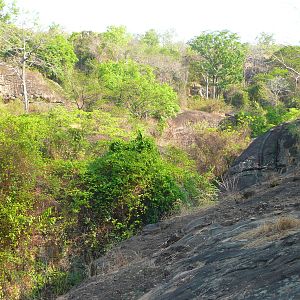 Hunting Central African Republic