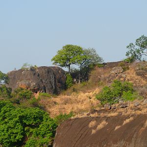 Hunting Central African Republic