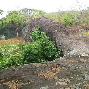 Hunting Central African Republic